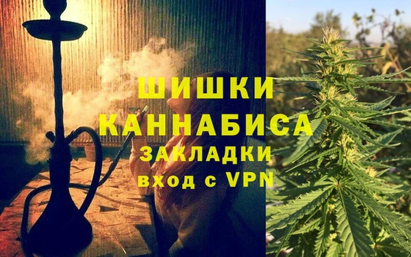 mdpv Краснослободск