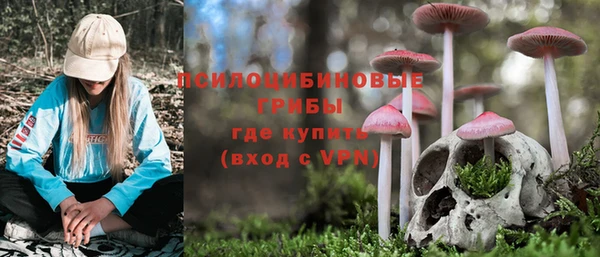 сатива Красноперекопск