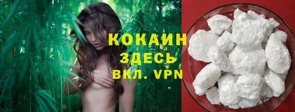 mdpv Краснослободск